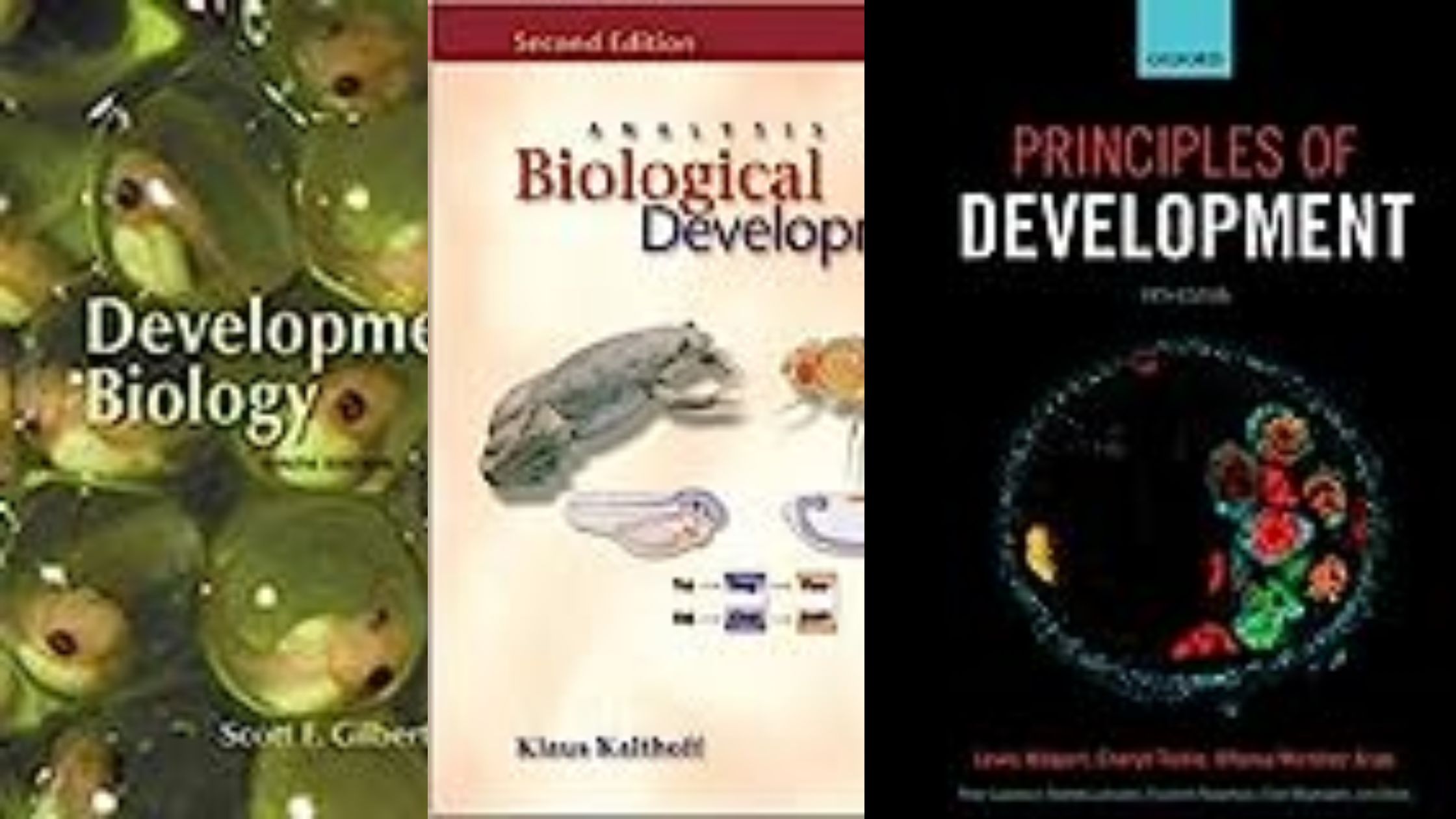 4 Best Books for Developmental Biology