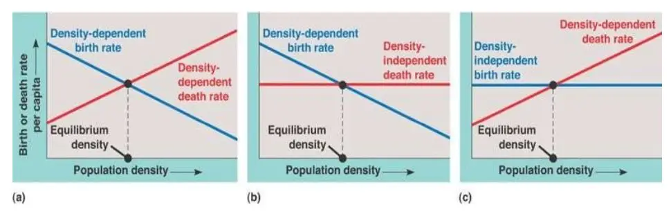 Density- dependent regulation of birth rate and death rate. a) both the rates are density
dependent and equilibrium is achieved when both the rates equate to each other. b) birth rate is
density dependent and declines as density increases. c) death rate is density dependent and increases as
density increases.