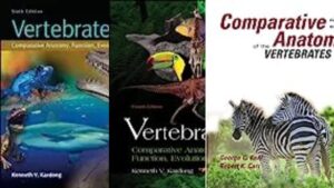 5 Best Books For Anatomy Of Vertebrates