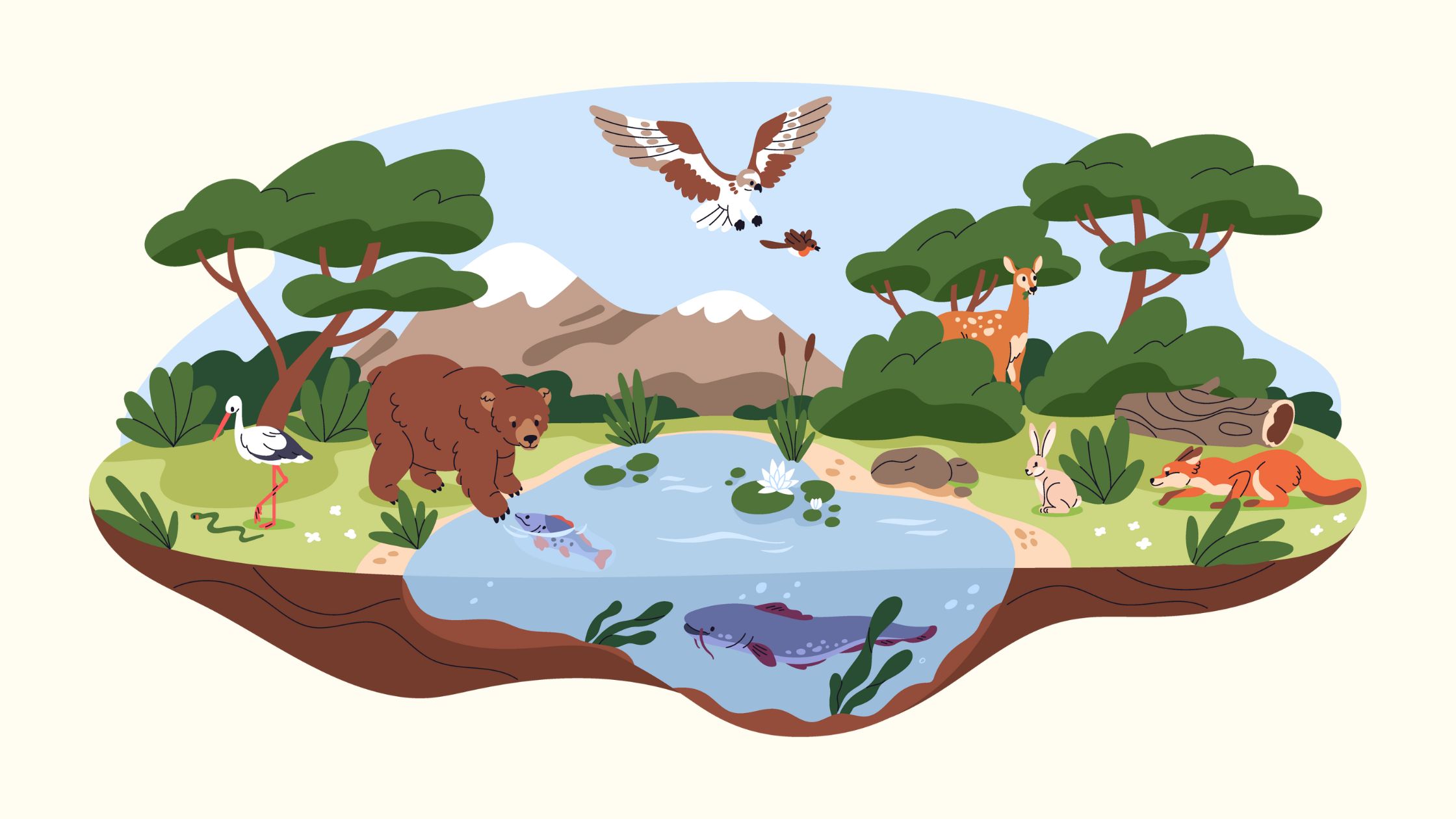 Biodiversity - Definition, Types, Importance, Conservation