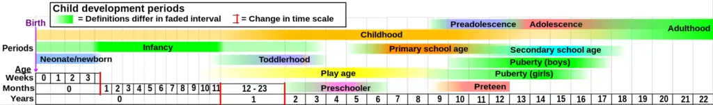 Approximate outline of development periods from childhood to early adulthood. Puberty is marked in green at right.
