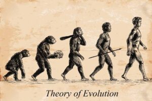 Darwinism Theory - Definition & Examples