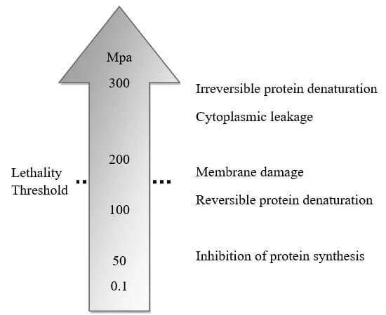 Effect of pressure on microbial lethality:

