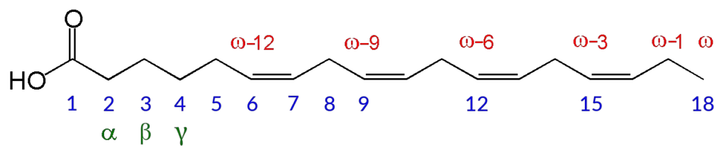 Carbon atom numbering