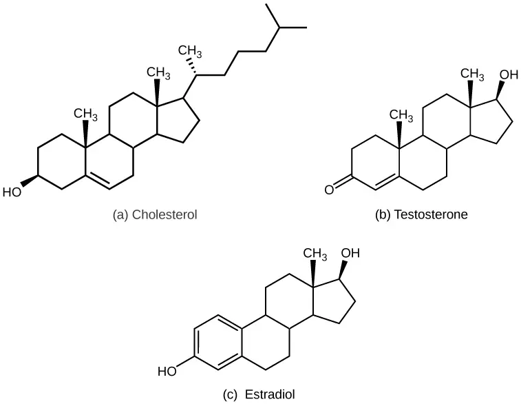 he structures shown here represent (a) cholesterol, plus the steroid hormones (b) testosterone and (c) estradiol.