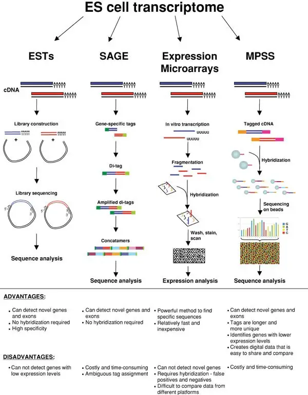Gene expression profiling techniques