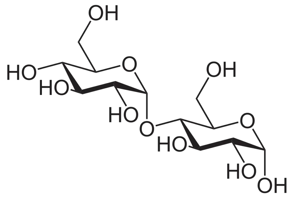 Maltose Structure