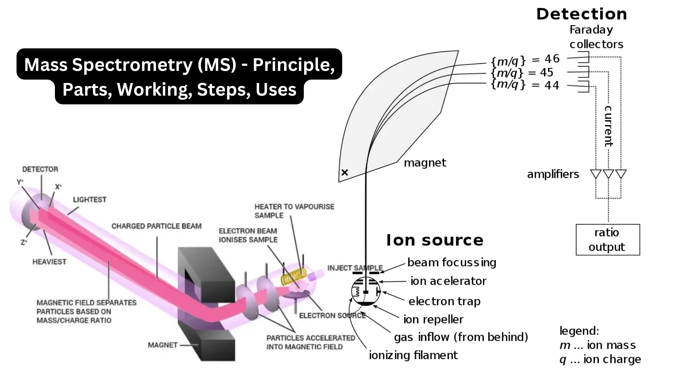 Mass Spectrometry (MS) - Principle, Parts, Working, Steps, Uses