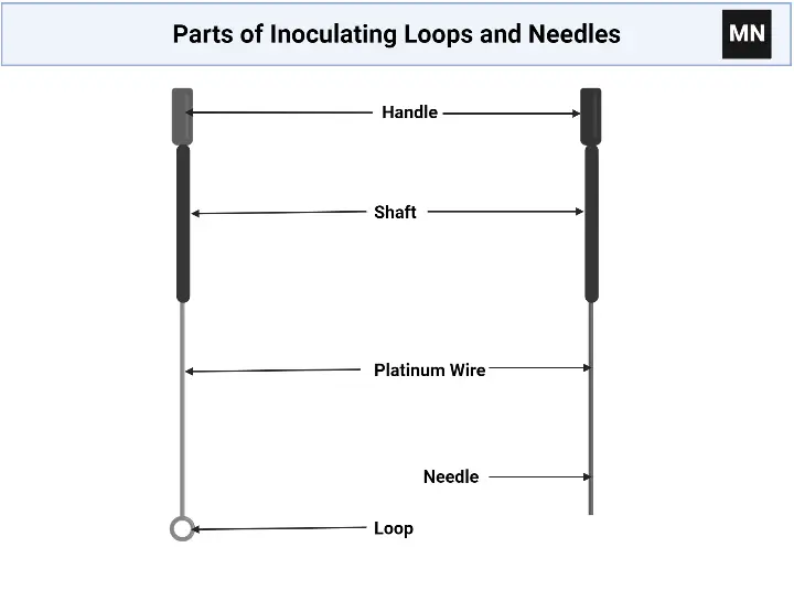 Parts of Inoculating Loops and Needles