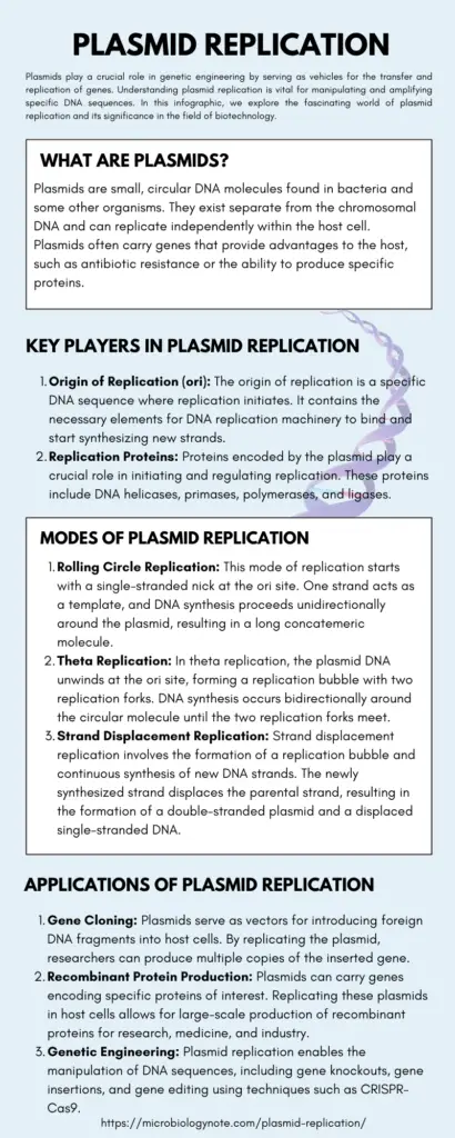Plasmid Replication Infographic