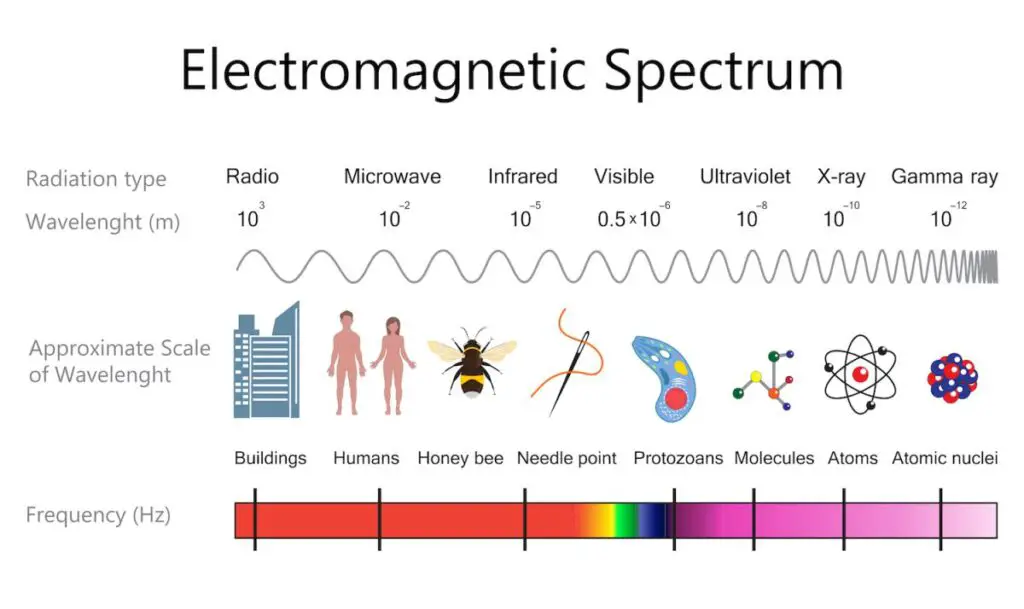 X-rays are high-frequency waves on the electromagnetic spectrum. (Image credit: Shutterstock)
