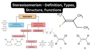 Stereoisomerism - Definition, Types, Structure, Functions