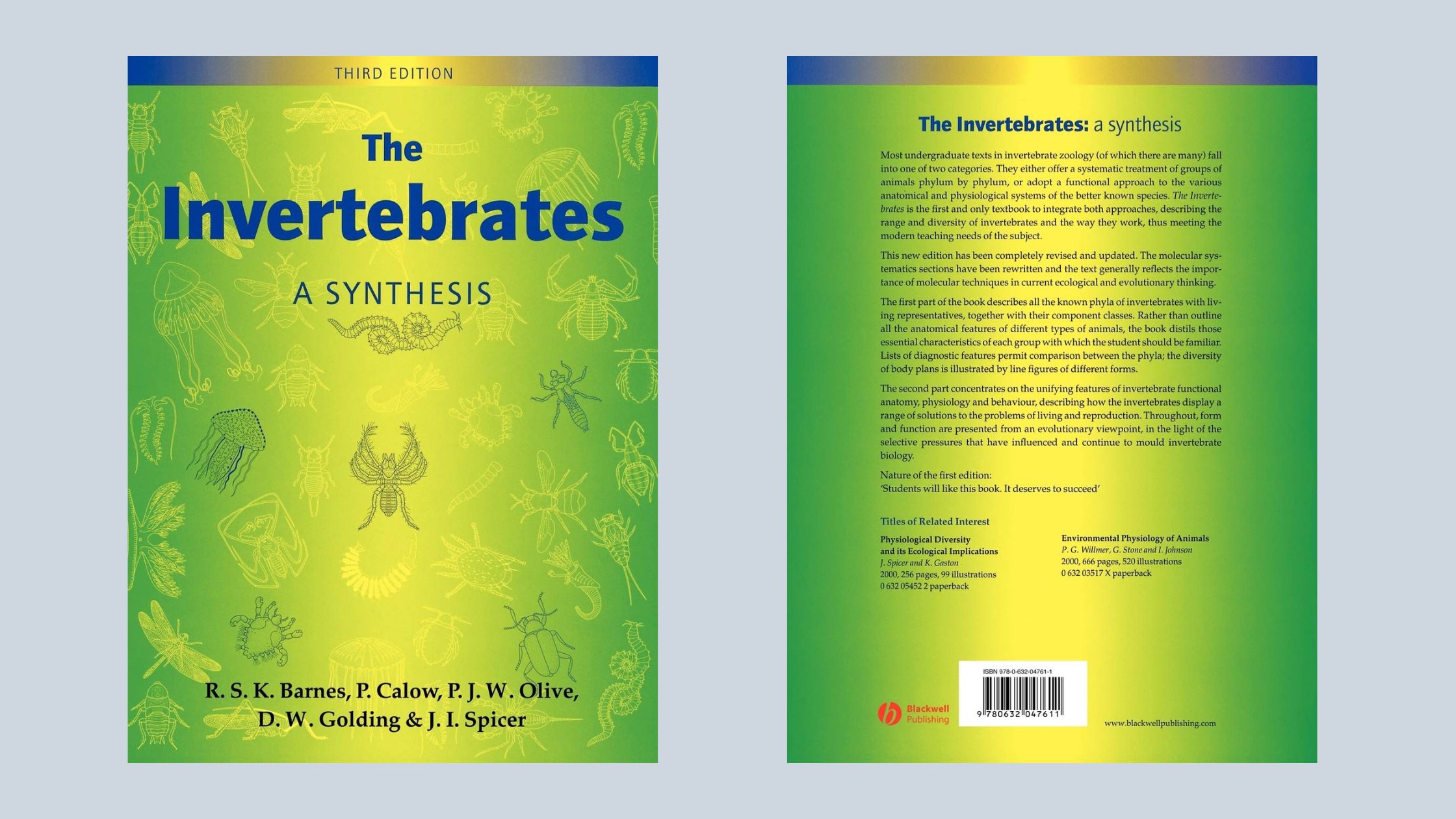 The Invertebrates: A Synthesis by R. S. K. Barnes (Author), Peter P. Calow (Author), P. J. W. Olive (Author), D. W. Golding (Author), J. I. Spicer (Author)
