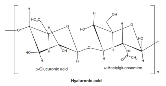 The repeating units of Hyaluronic acid.