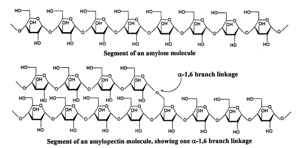 The structure of a section of amylose and amylopectin.
