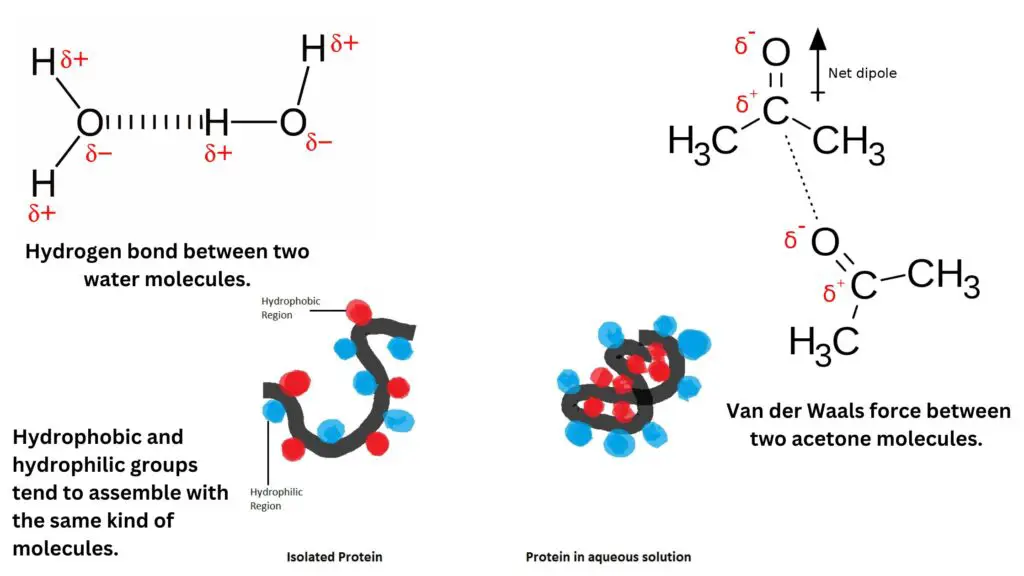 Types of non-covalent interactions in Active Site