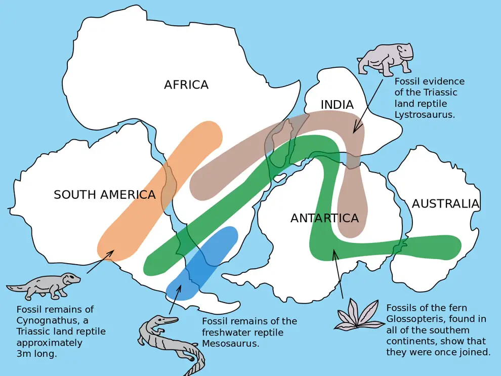 Zoogeography - Plate tectonic andContinental drift theory