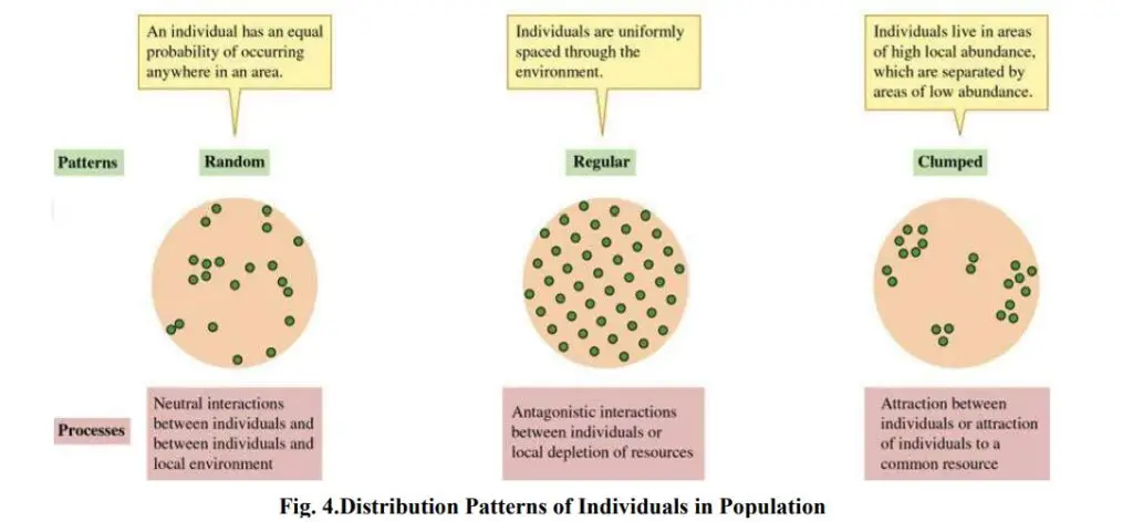 Distribution Patterns of Individuals in Population