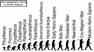 Origin and Evolution of Man