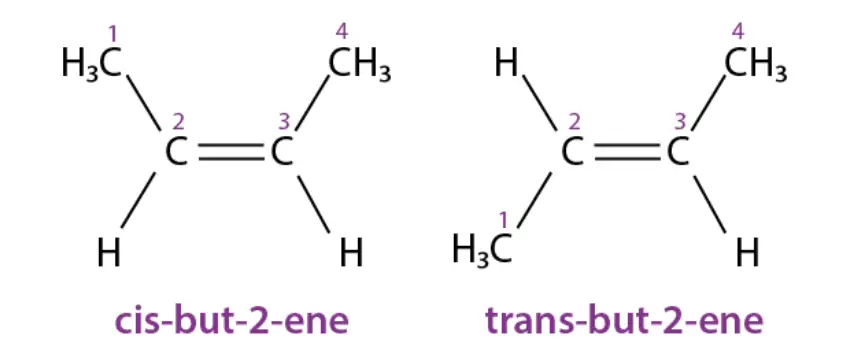 The structures of the cis and trans isomers of but-2-ene

