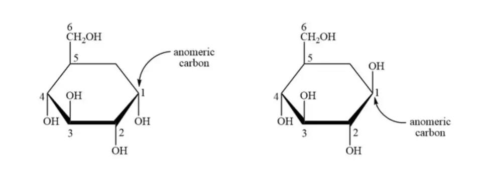 Anomeric Carbon of Glucose