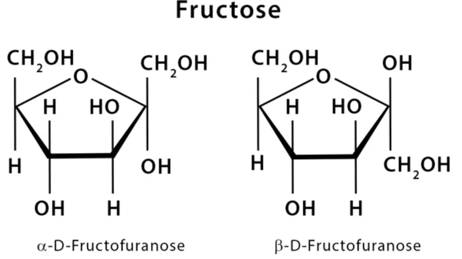 Haworth Projection Fructose
