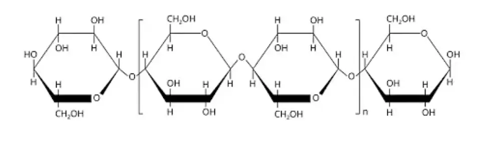 Structure of Cellulose


