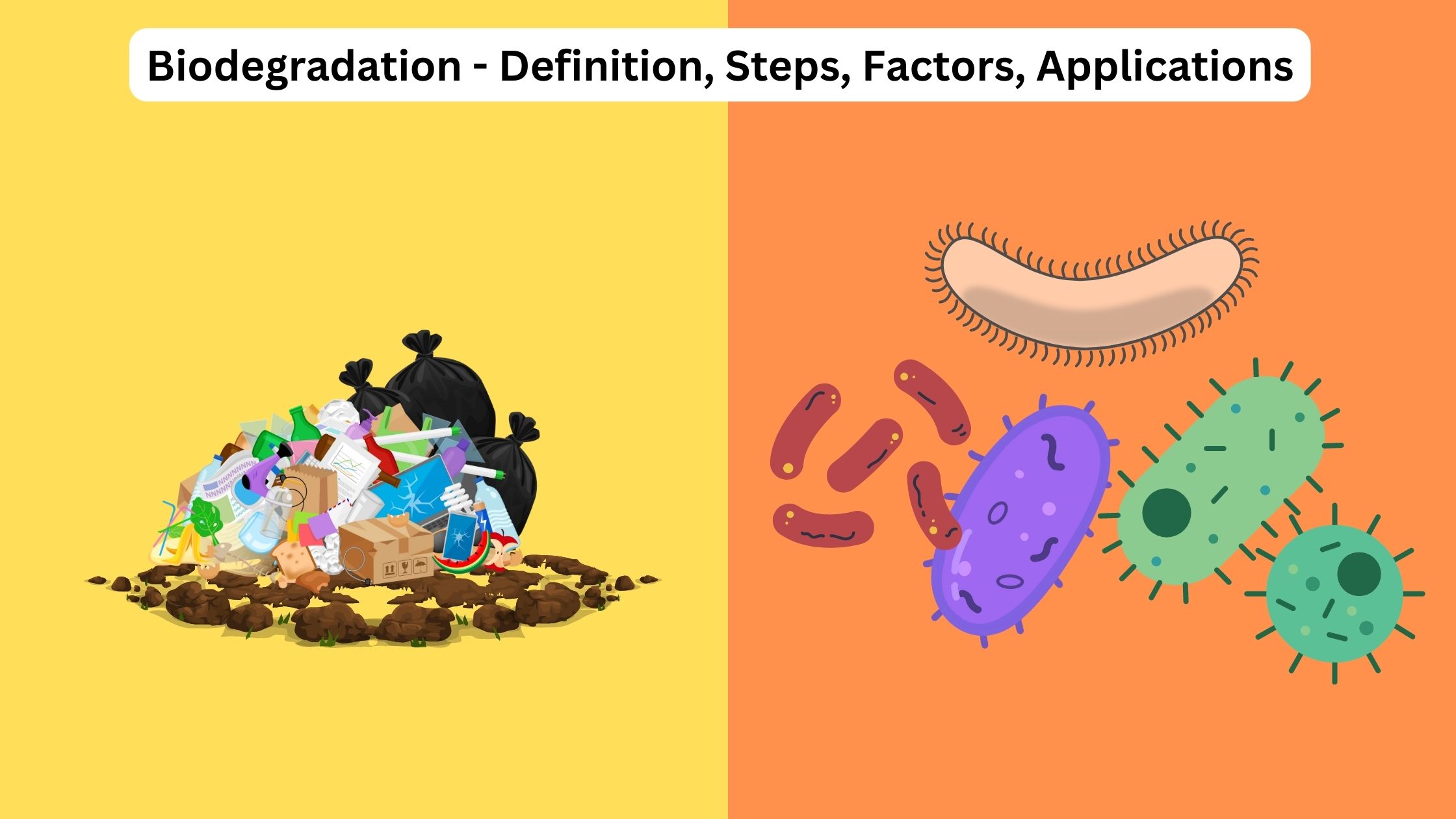 Biodegradation - Definition, Steps, Factors, Applications