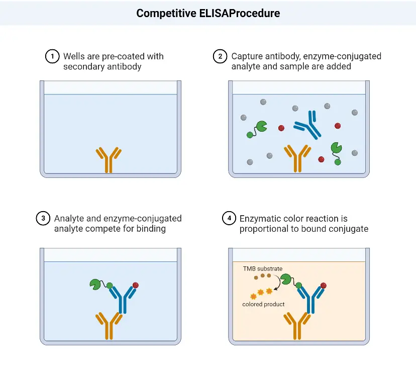Competitive ELISA Procedure