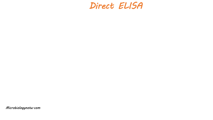 Direct ELISA Animated Video