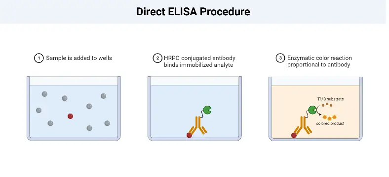 Direct ELISA Procedure