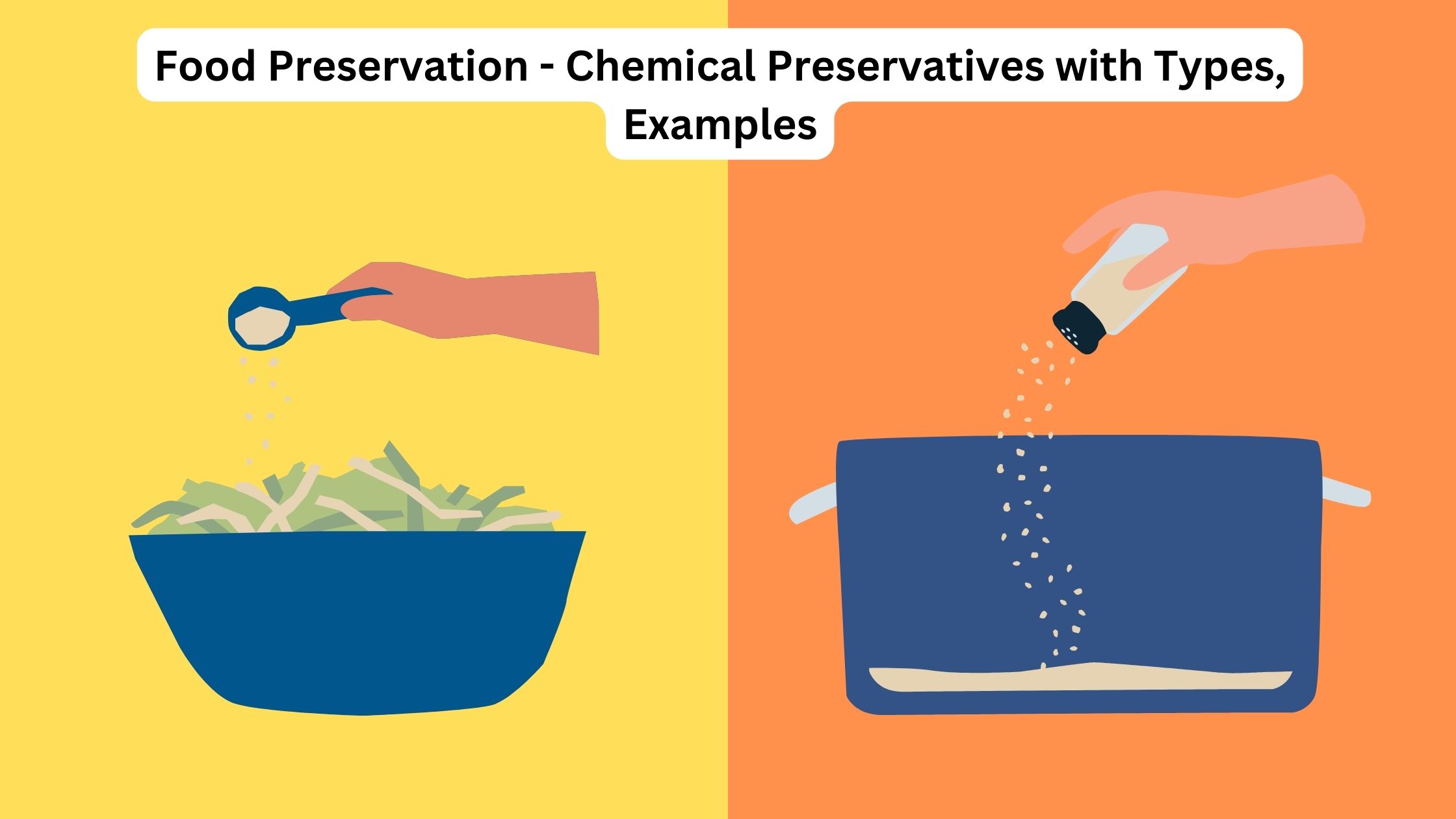 Food Preservation - Chemical Preservatives with Types, Examples