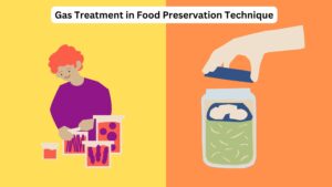 Gas Treatment in Food Preservation Technique