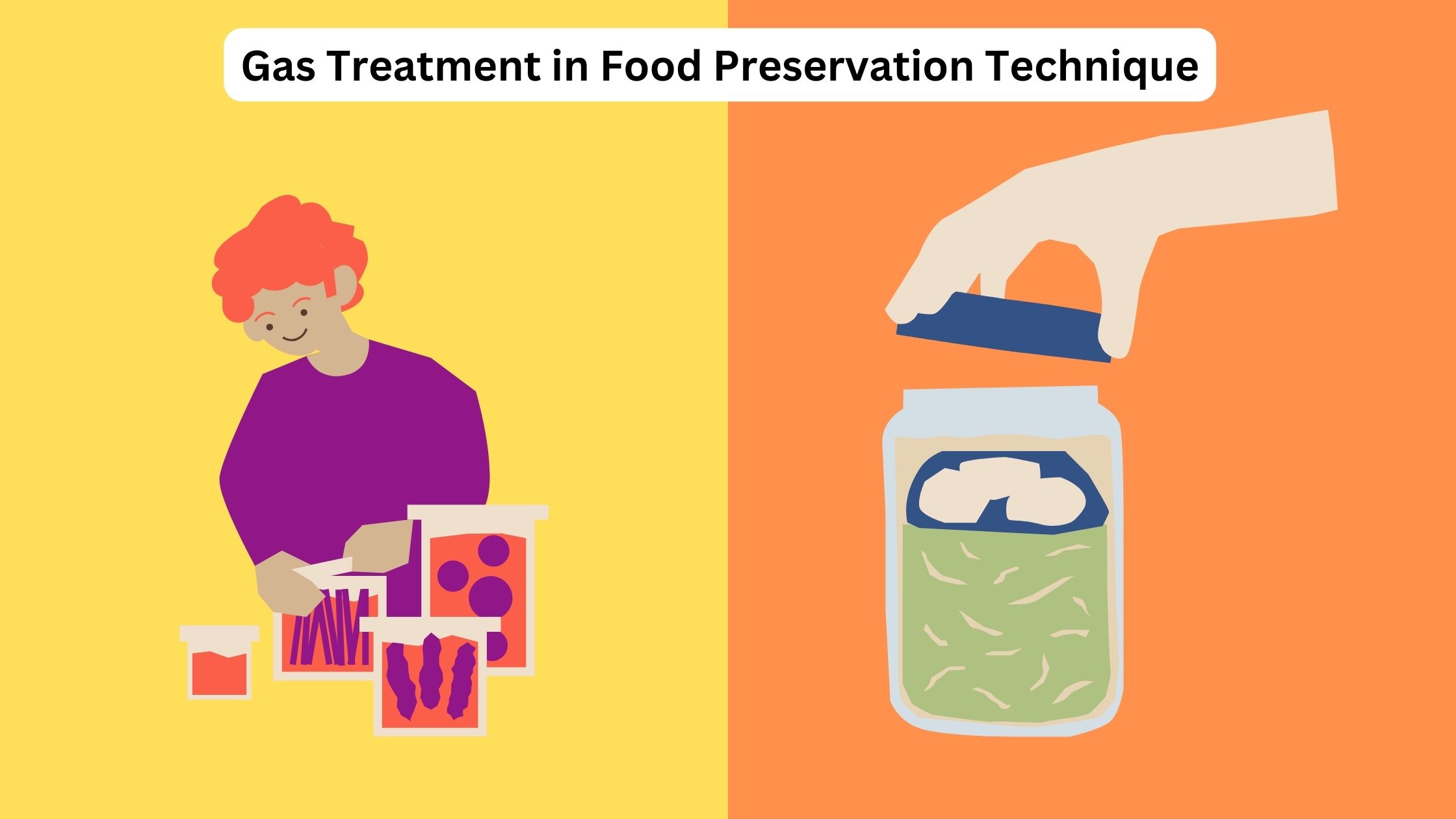 Gas Treatment as a Food Preservation Technique
