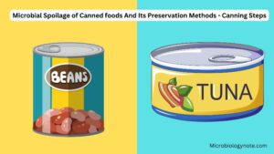 Microbial Spoilage of Canned foods And Its Preservation Methods - Canning Steps