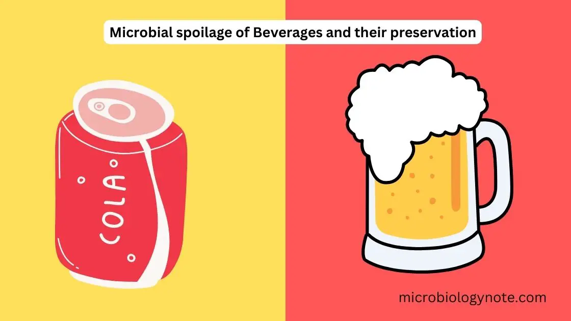 Microbial spoilage of Beverages and their preservation