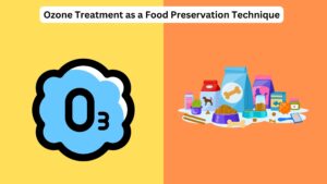 Ozone Treatment as a Food Preservation Technique