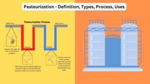 Pasteurization - Definition, Types, Process, Uses