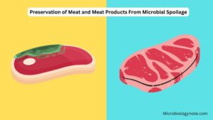 Preservation of Meat and Meat Products From Microbial Spoilage