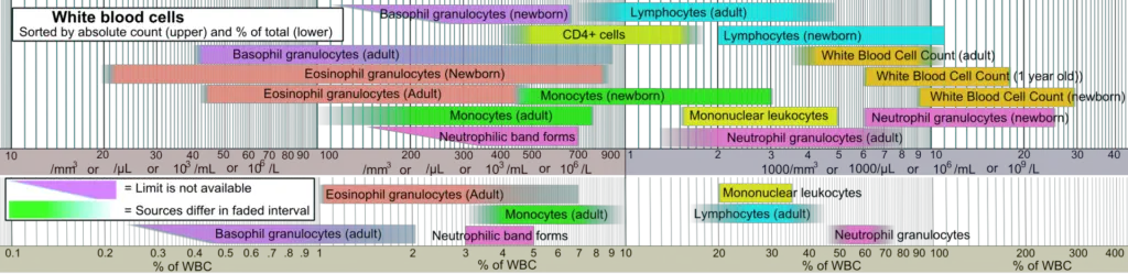 Reference ranges for blood tests of white blood cells, comparing lymphocyte amount (shown in light blue) with other cells