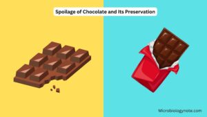 Spoilage of Chocolate and Its Preservation
