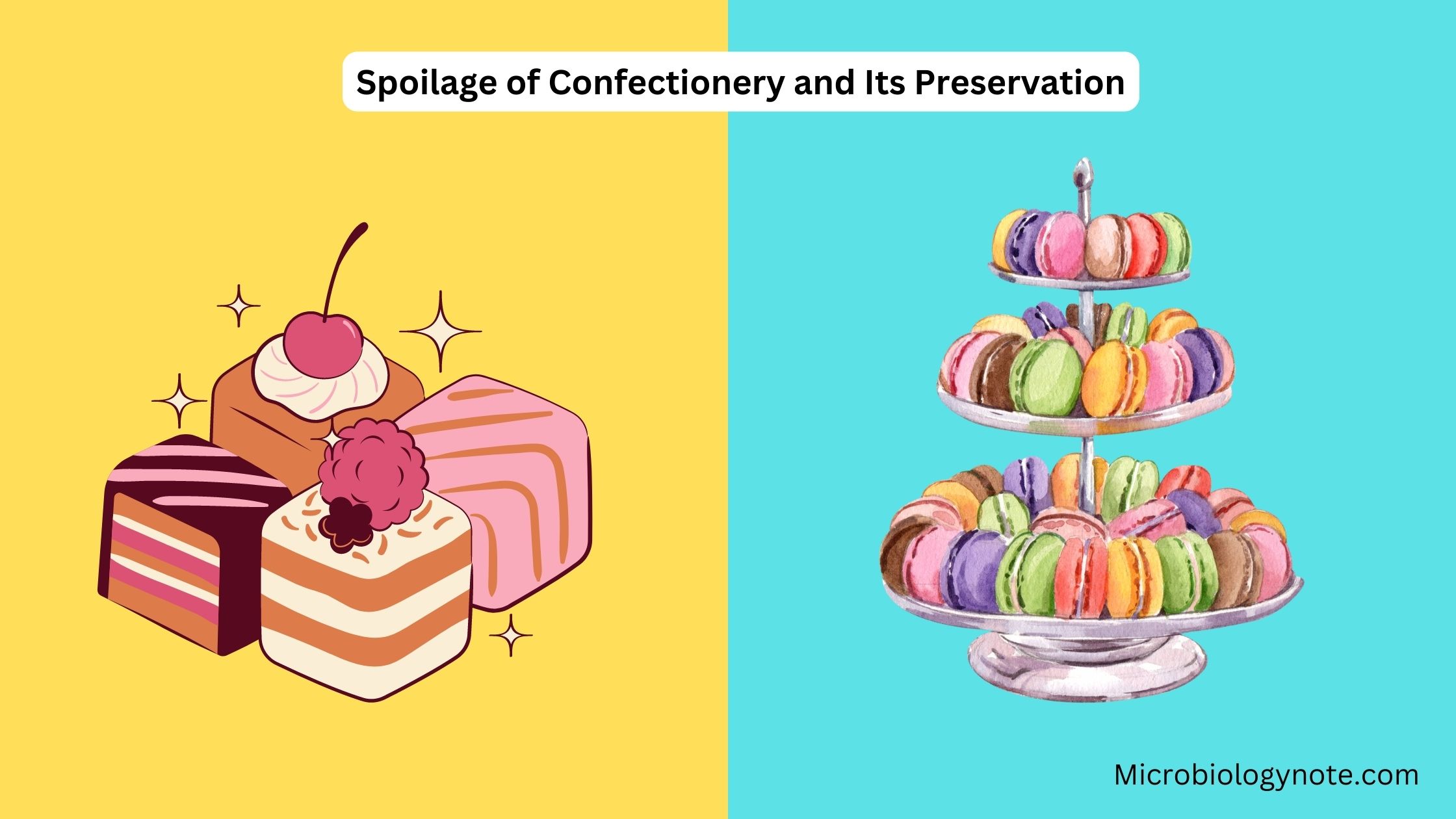 Spoilage of Confectionery and Its Preservation
