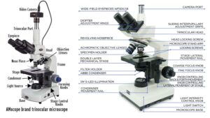 Trinocular Microscope - Definition, Principle, Parts, Protocol, Uses