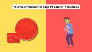 Yersinia enterocolitica Food Poisoning - Yersiniosis