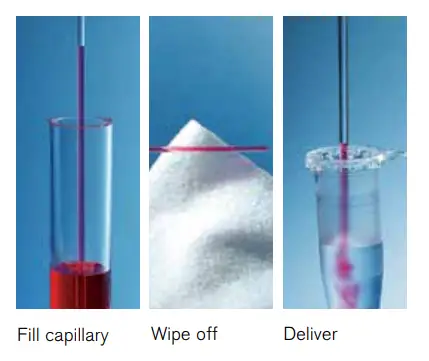 Handling of Glass Pipettes