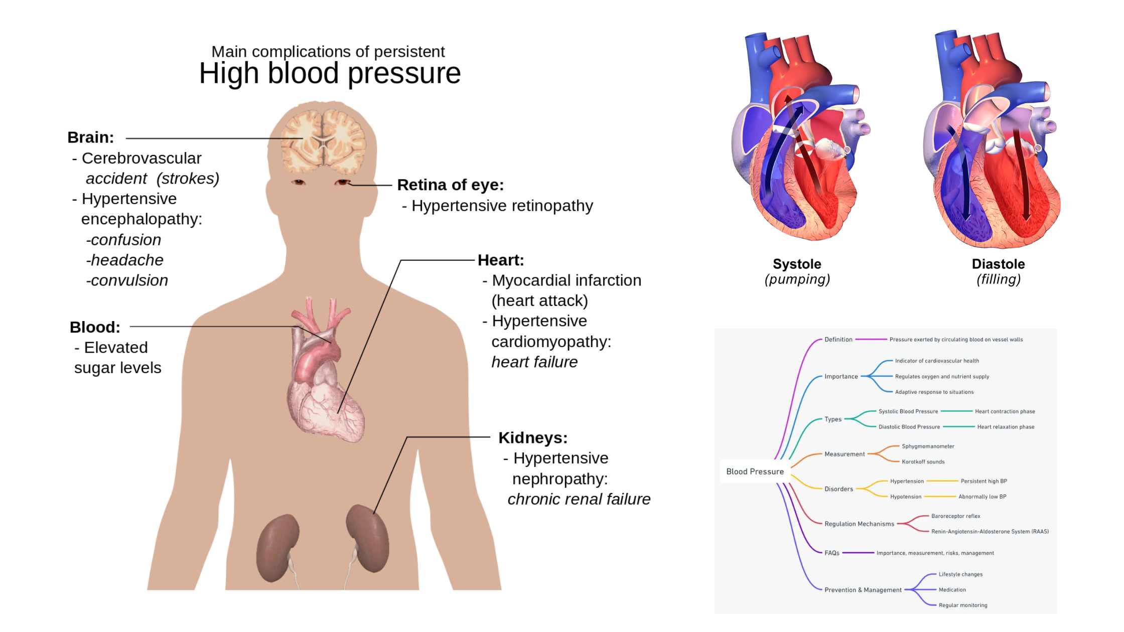 Blood Pressure - Definition, Types, Measurement, Disorders