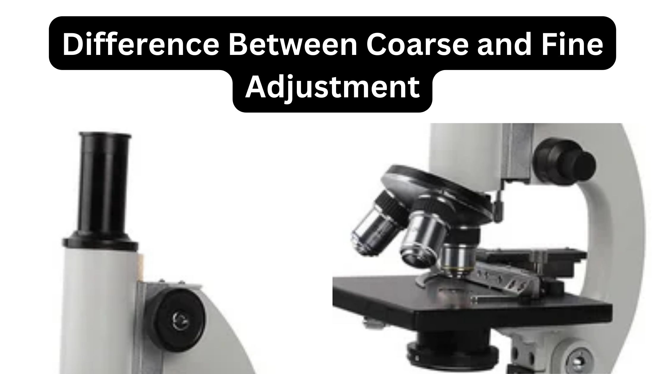 Difference Between Coarse and Fine Adjustment