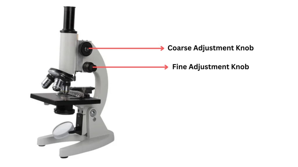 Microscope Coarse Adjustment and Fine Adjustment Knob