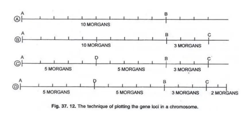 How to Prepare Chromosome Maps