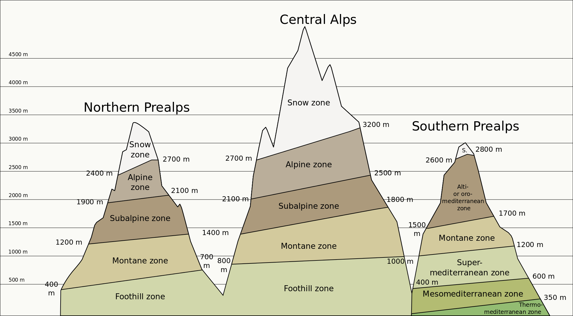 Высотная поясность в Альпах. Схема ВЫСОТНОЙ поясности Альп. Высотная поясность Альпы схема. Высотная поясность скалистых гор. Сколько высотных поясов в горах